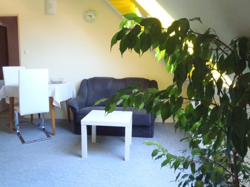 Apartments Nicol كارلوفي فاري الغرفة الصورة